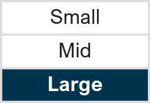 Market Capitalization: Large